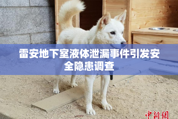雷安地下室液体泄漏事件引发安全隐患调查