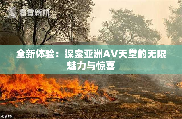 全新体验：探索亚洲AV天堂的无限魅力与惊喜