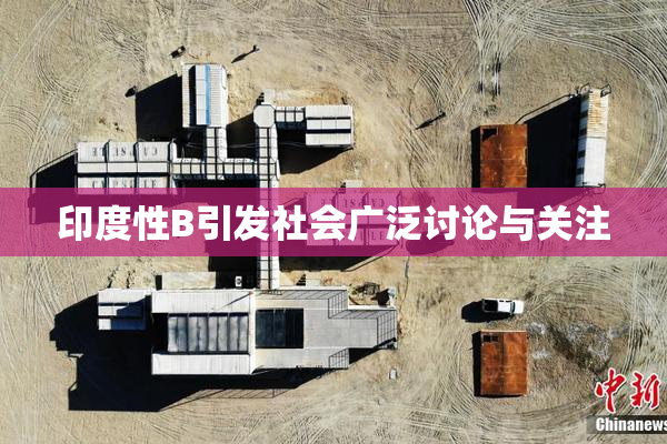 印度性B引发社会广泛讨论与关注