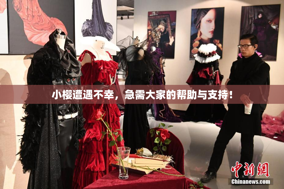 小樱遭遇不幸，急需大家的帮助与支持！