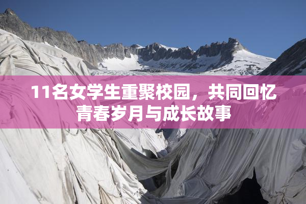11名女学生重聚校园，共同回忆青春岁月与成长故事