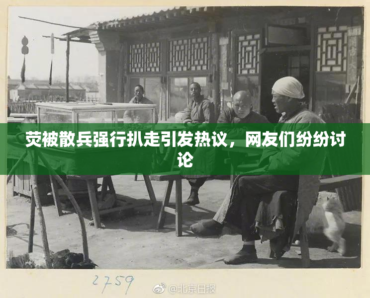 荧被散兵强行扒走引发热议，网友们纷纷讨论