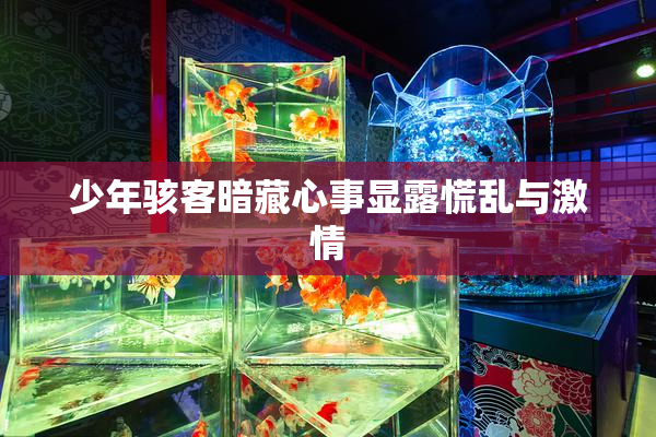 少年骇客暗藏心事显露慌乱与激情