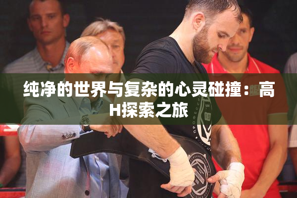 纯净的世界与复杂的心灵碰撞：高H探索之旅