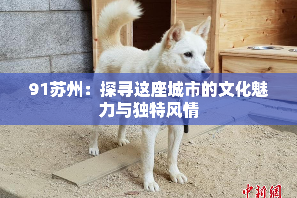 91苏州：探寻这座城市的文化魅力与独特风情