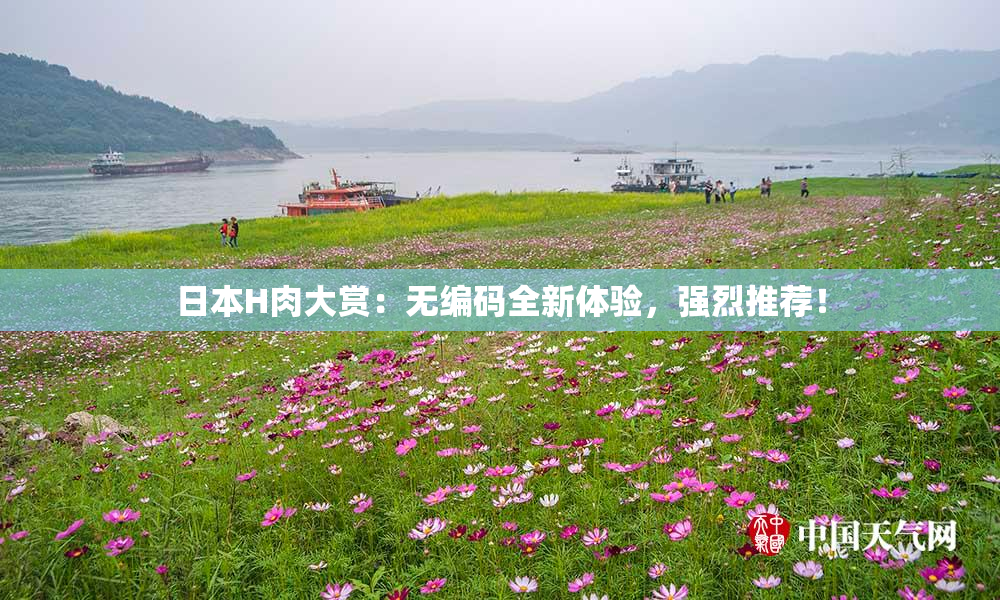 日本H肉大赏：无编码全新体验，强烈推荐！