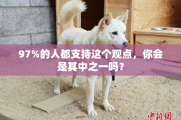 97%的人都支持这个观点，你会是其中之一吗？