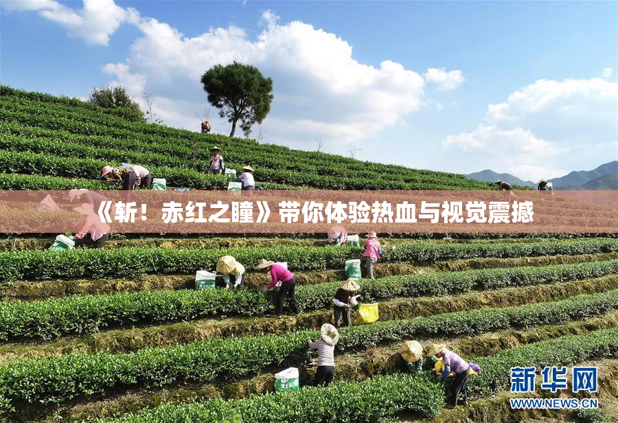 《斩！赤红之瞳》带你体验热血与视觉震撼