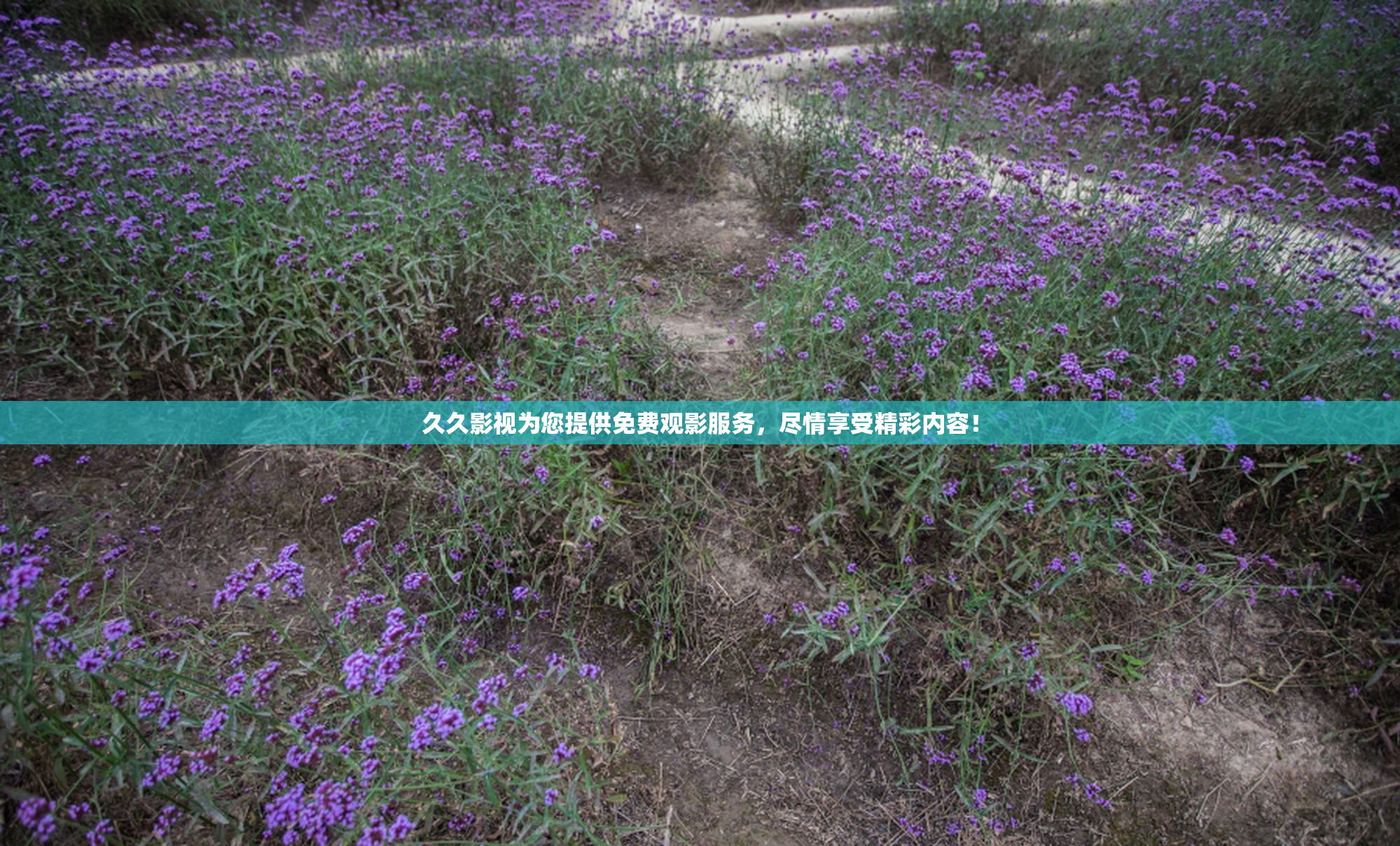 久久影视为您提供免费观影服务，尽情享受精彩内容！