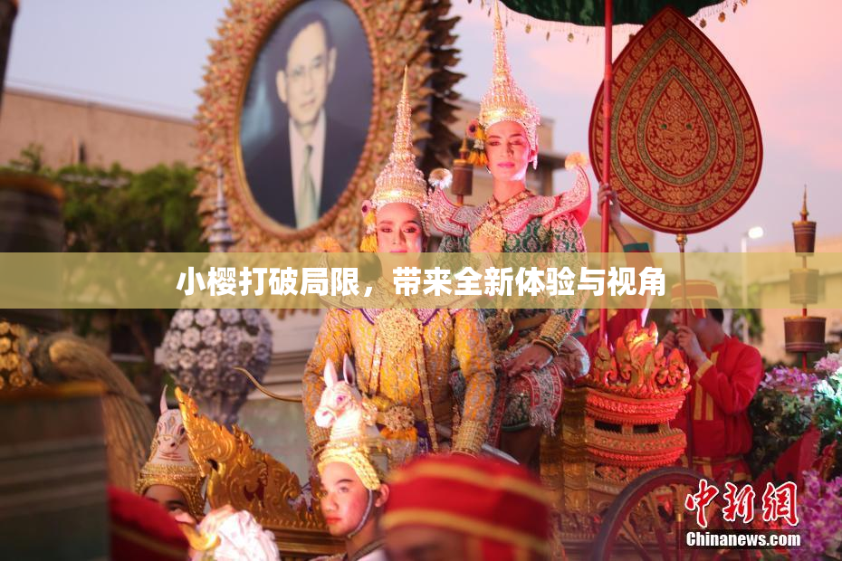 小樱打破局限，带来全新体验与视角