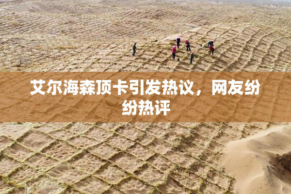 艾尔海森顶卡引发热议，网友纷纷热评
