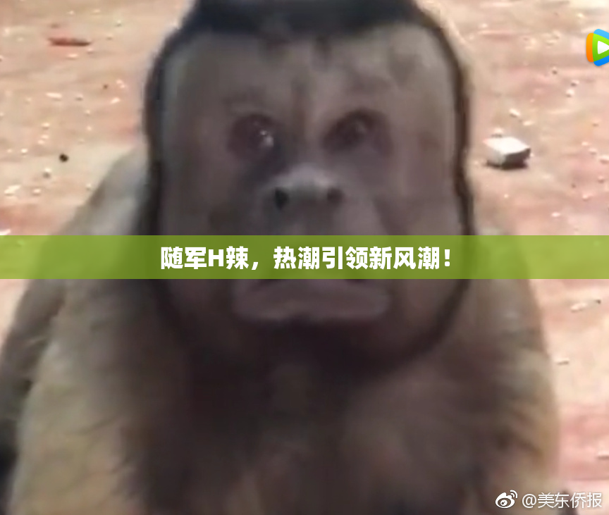 随军H辣，热潮引领新风潮！