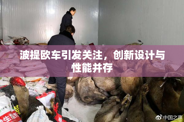 波提欧车引发关注，创新设计与性能并存