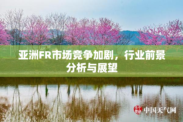 亚洲FR市场竞争加剧，行业前景分析与展望
