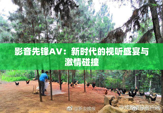 影音先锋AV：新时代的视听盛宴与激情碰撞