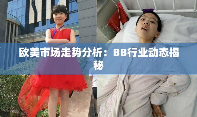 欧美市场走势分析：BB行业动态揭秘