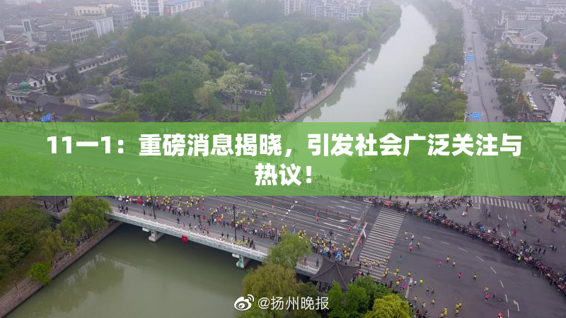 11一1：重磅消息揭晓，引发社会广泛关注与热议！