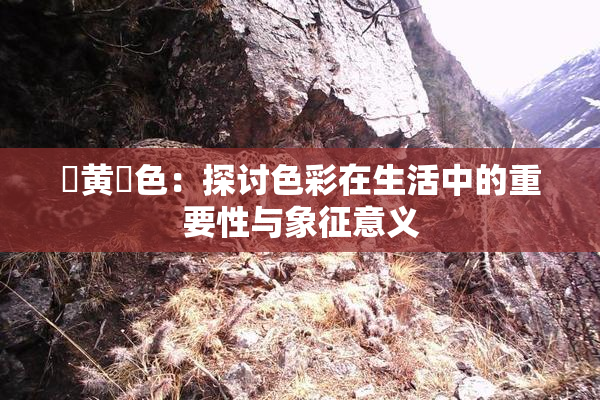 ✿黄✿色：探讨色彩在生活中的重要性与象征意义