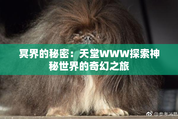 冥界的秘密：天堂WWW探索神秘世界的奇幻之旅