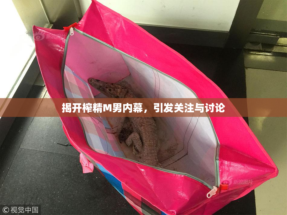 揭开榨精M男内幕，引发关注与讨论