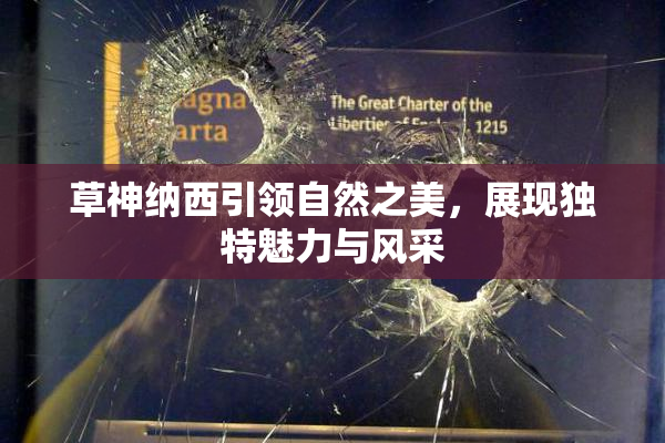 草神纳西引领自然之美，展现独特魅力与风采