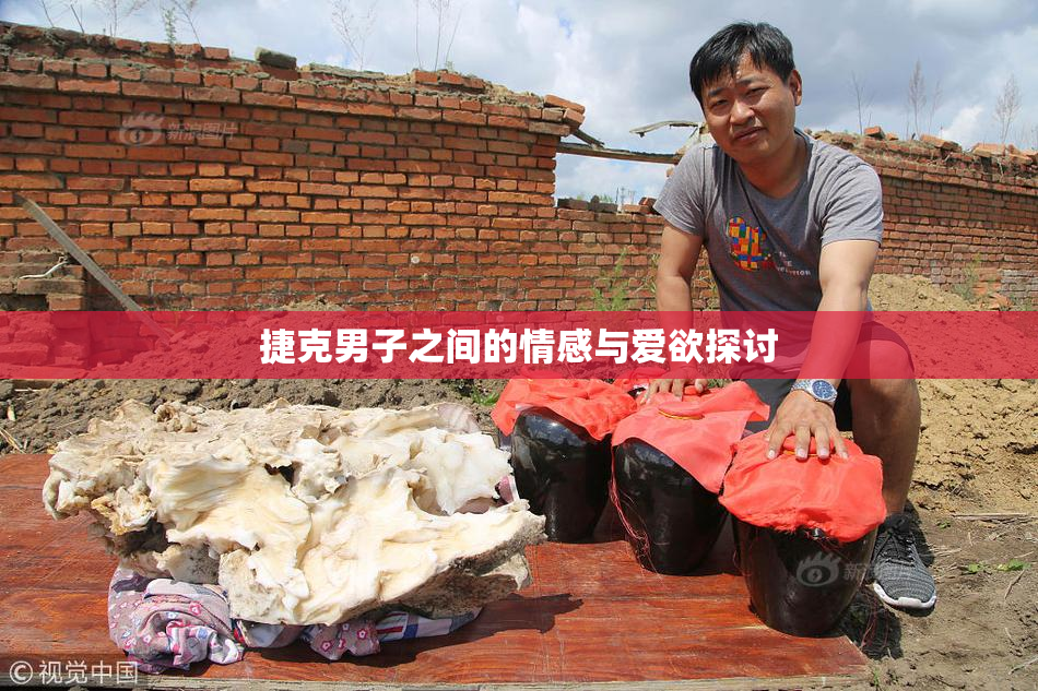 捷克男子之间的情感与爱欲探讨