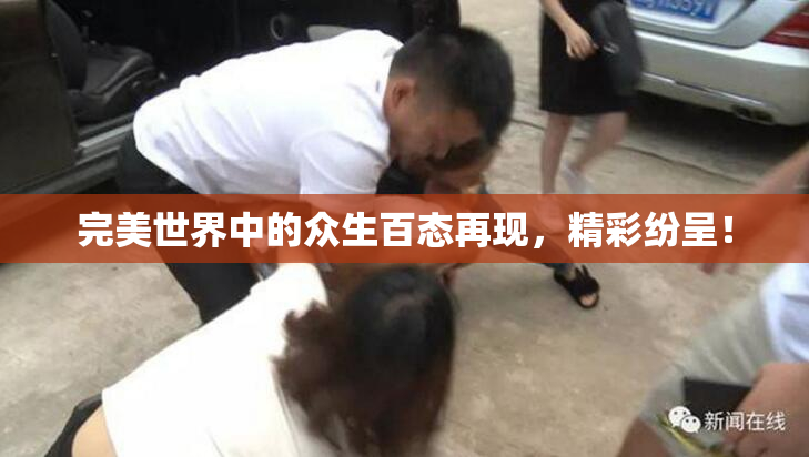 完美世界中的众生百态再现，精彩纷呈！