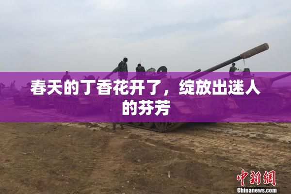 春天的丁香花开了，绽放出迷人的芬芳