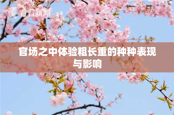 官场之中体验粗长重的种种表现与影响