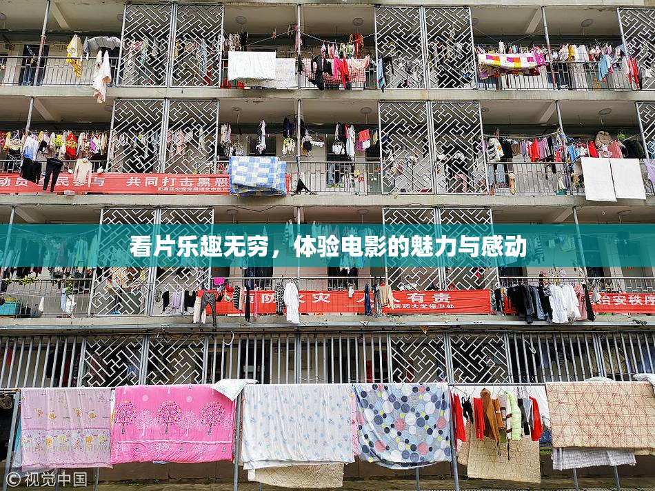 看片乐趣无穷，体验电影的魅力与感动