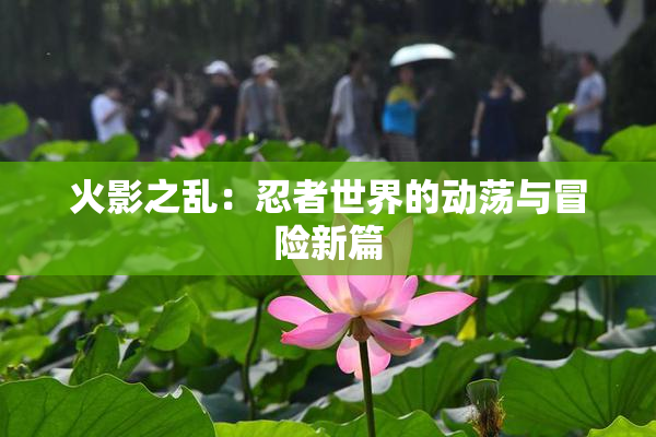 火影之乱：忍者世界的动荡与冒险新篇