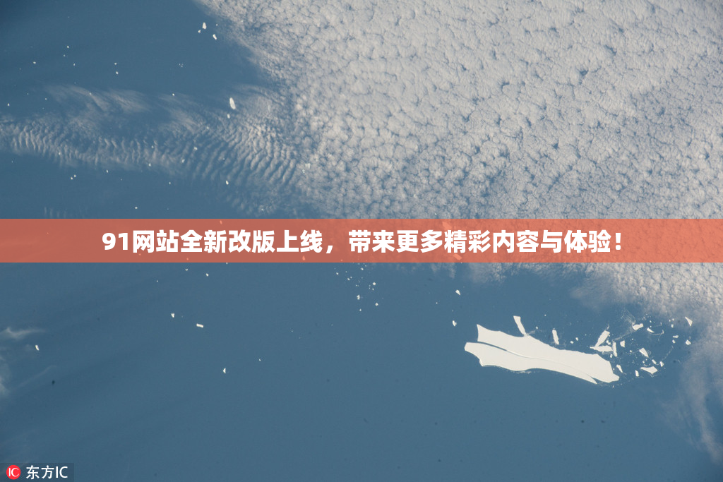 91网站全新改版上线，带来更多精彩内容与体验！