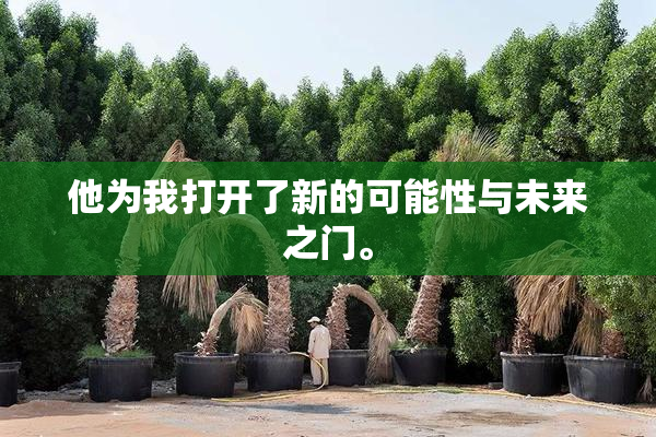 他为我打开了新的可能性与未来之门。
