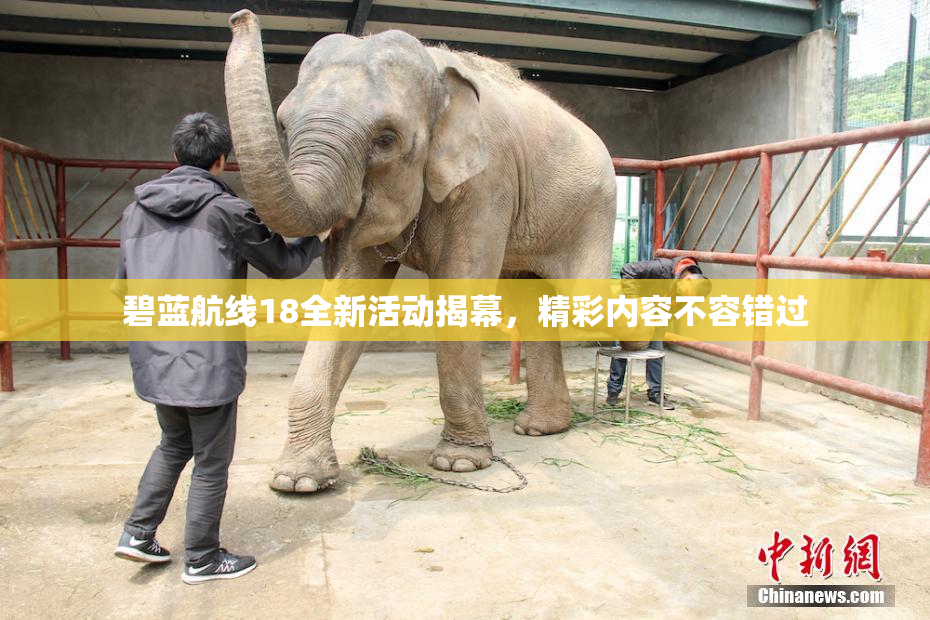 碧蓝航线18全新活动揭幕，精彩内容不容错过