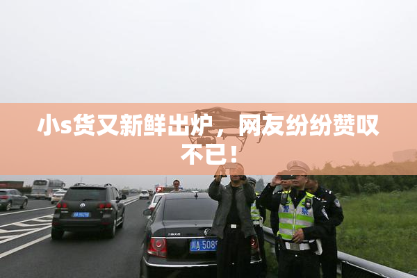 小s货又新鲜出炉，网友纷纷赞叹不已！