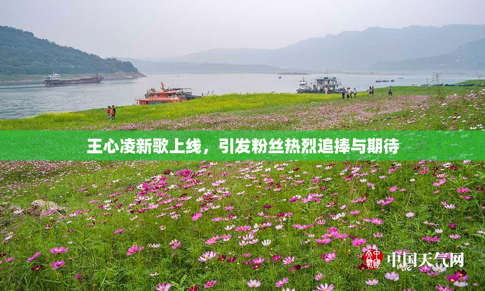 王心凌新歌上线，引发粉丝热烈追捧与期待