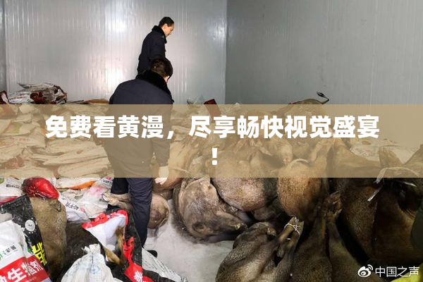 免费看黄漫，尽享畅快视觉盛宴！