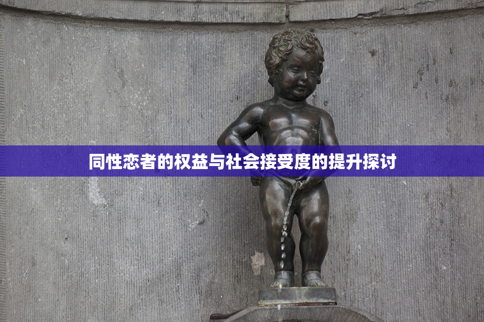 同性恋者的权益与社会接受度的提升探讨