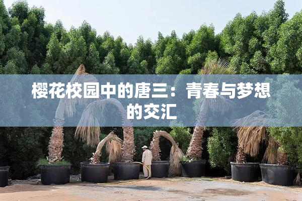 樱花校园中的唐三：青春与梦想的交汇