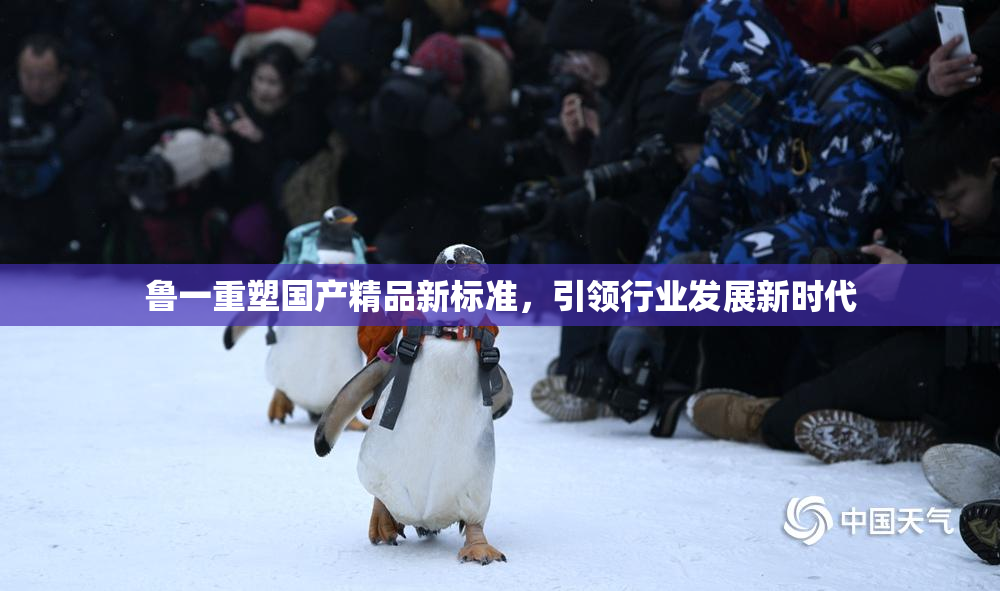 鲁一重塑国产精品新标准，引领行业发展新时代