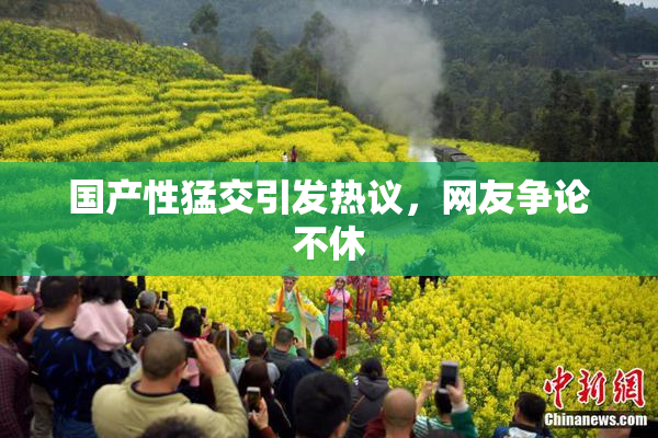 国产性猛交引发热议，网友争论不休