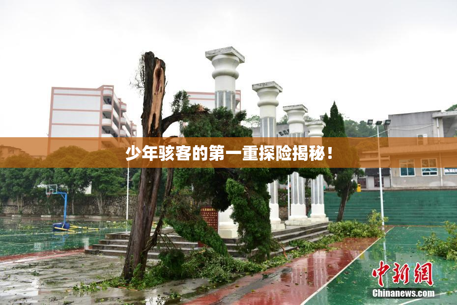 少年骇客的第一重探险揭秘！