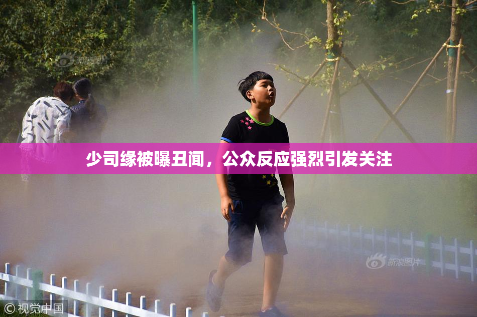 少司缘被曝丑闻，公众反应强烈引发关注
