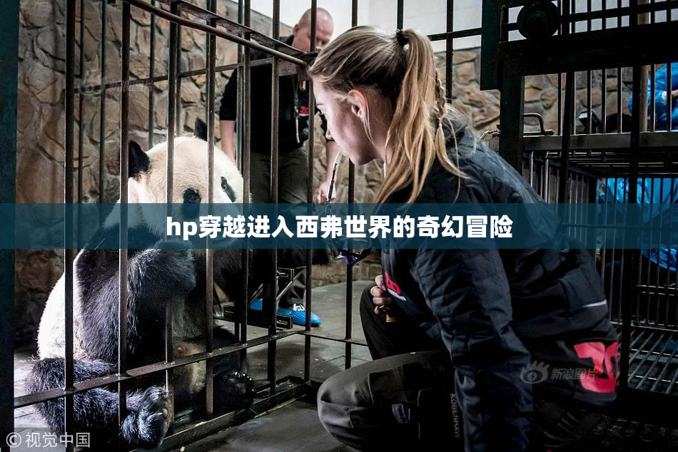 hp穿越进入西弗世界的奇幻冒险
