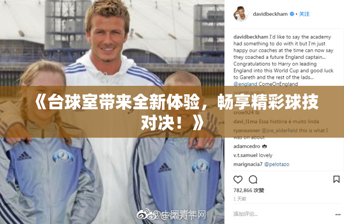 《台球室带来全新体验，畅享精彩球技对决！》
