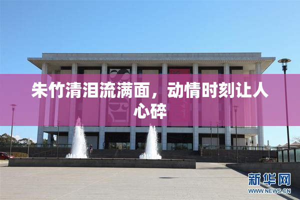 朱竹清泪流满面，动情时刻让人心碎