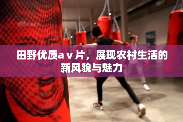 田野优质aⅴ片，展现农村生活的新风貌与魅力