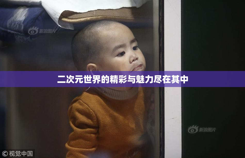 二次元世界的精彩与魅力尽在其中