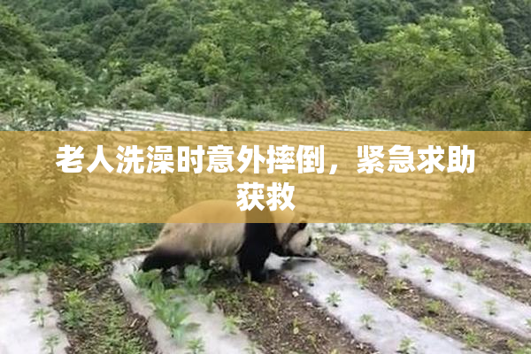 老人洗澡时意外摔倒，紧急求助获救