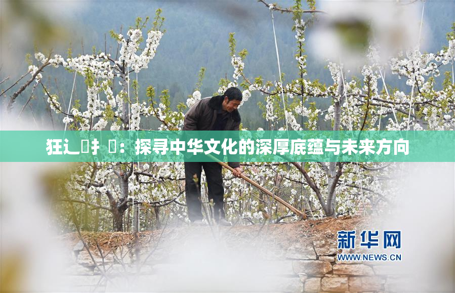 狂辶喿扌畐：探寻中华文化的深厚底蕴与未来方向